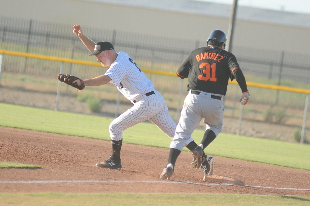 Seals_2019-08-23 (406).JPG - (c)2010 DeVetter